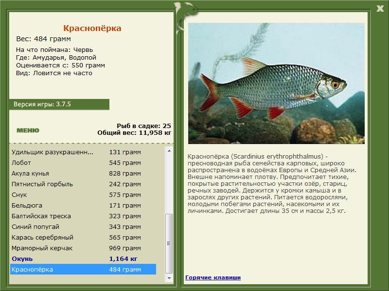 турниры • РУССКАЯ РЫБАЛКА