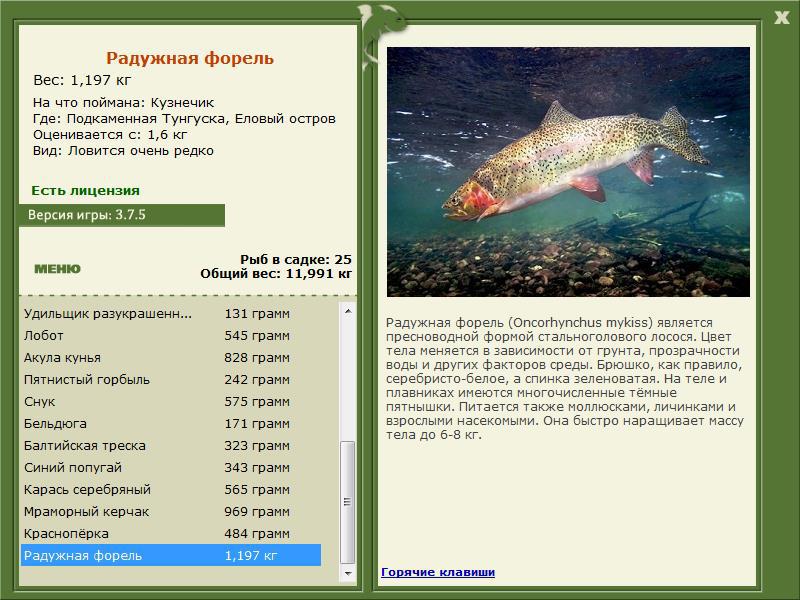  Нечет • Praise-турниры • РУССКАЯ РЫБАЛКА