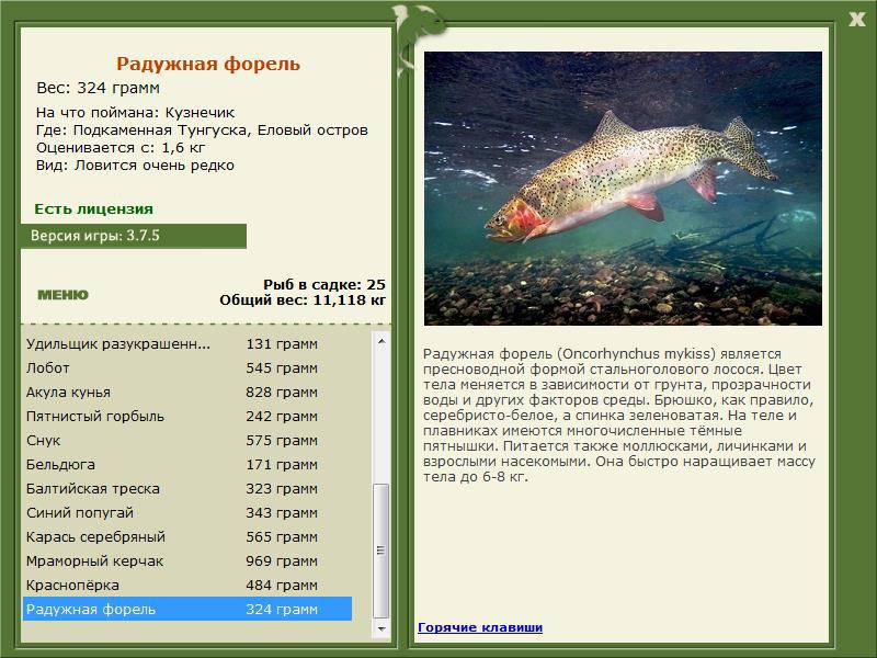 турниры • РУССКАЯ РЫБАЛКА