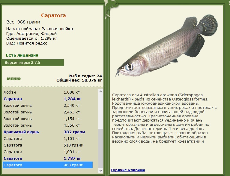 турниры • РУССКАЯ РЫБАЛКА