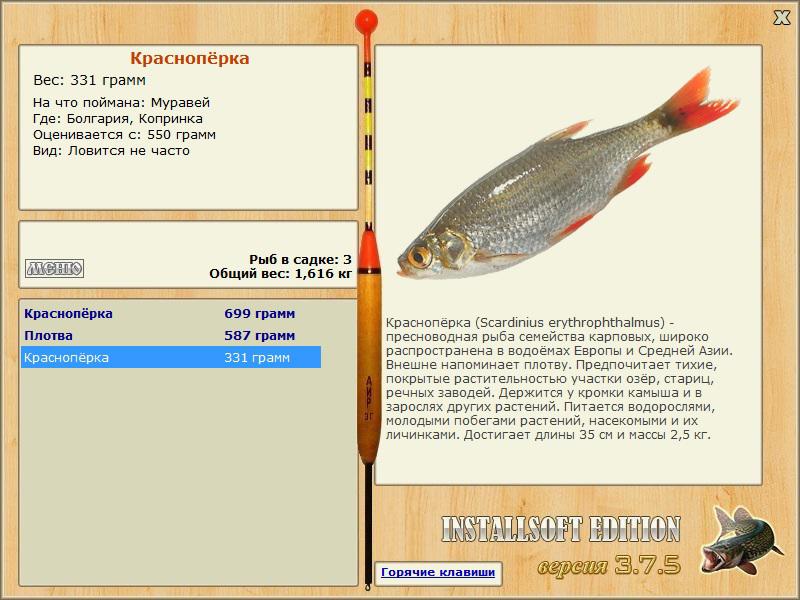 турниры • РУССКАЯ РЫБАЛКА