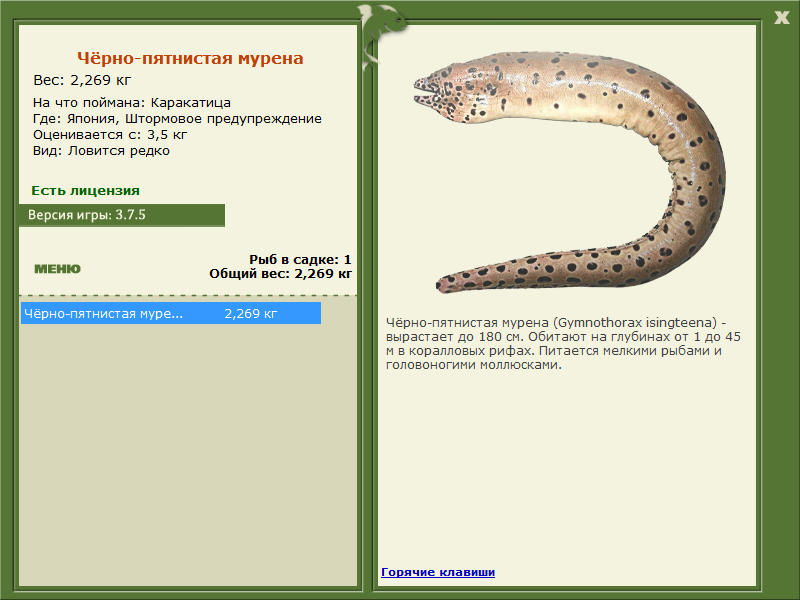Штормовое предупреждение 