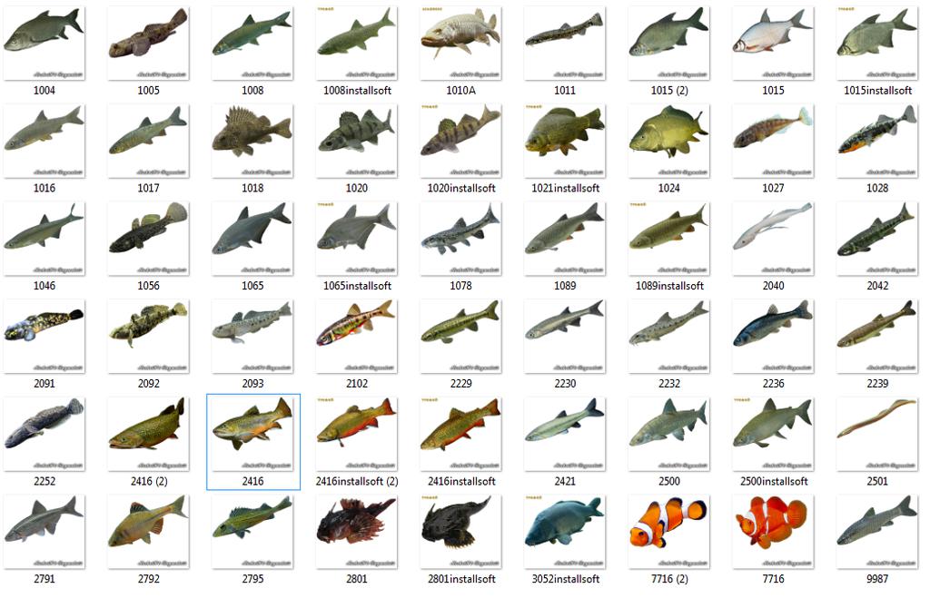 Свой дизайн для Русской Рыбалки 