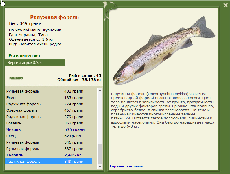 турниры • РУССКАЯ РЫБАЛКА
