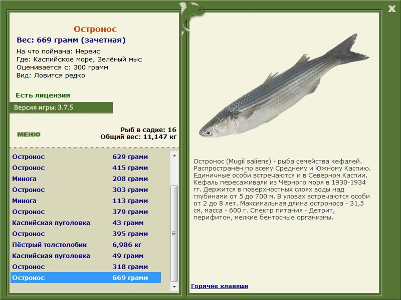 Зелёный мыс 