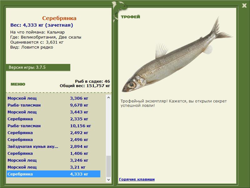 Две скалы 