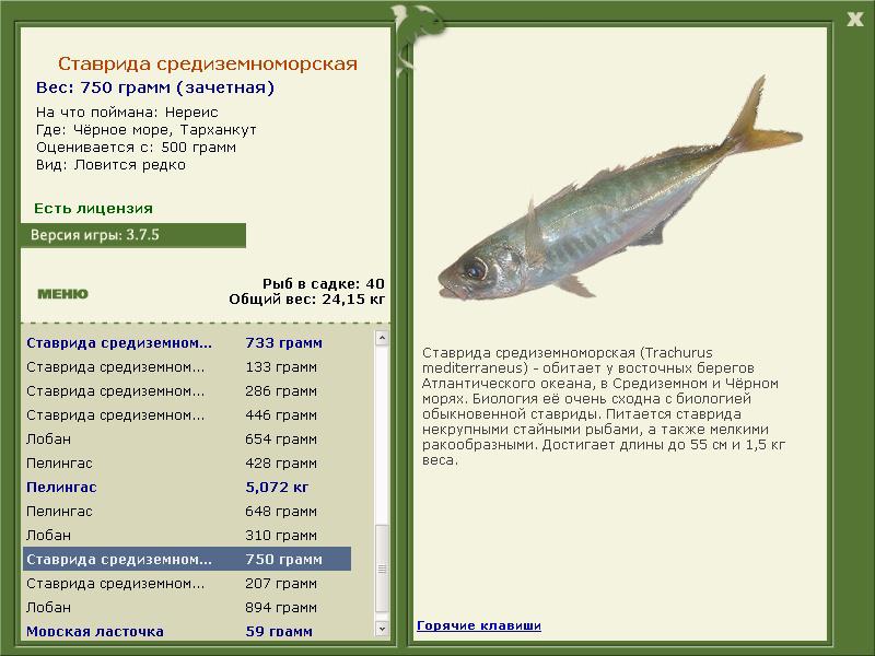 РУССКАЯ РЫБАЛКА Installsoft Edition 