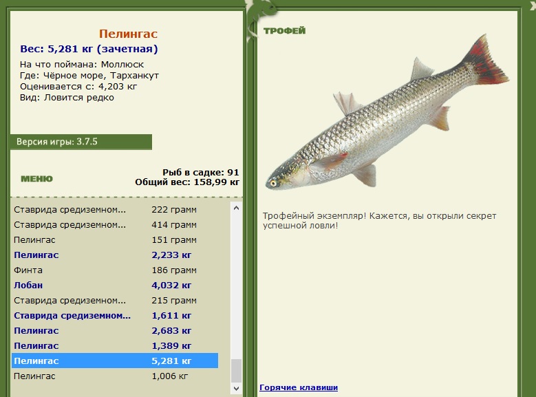 Пелингас 