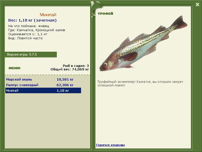 Кроноцкий залив 
