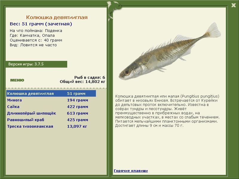 Опала 