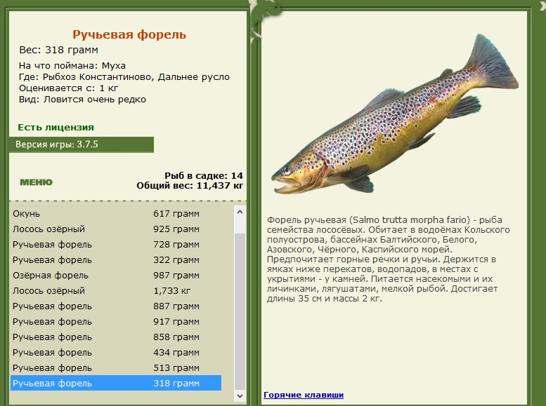 Дальнее русло 