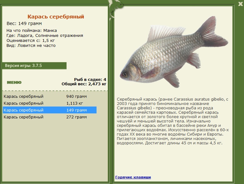 турниры • РУССКАЯ РЫБАЛКА