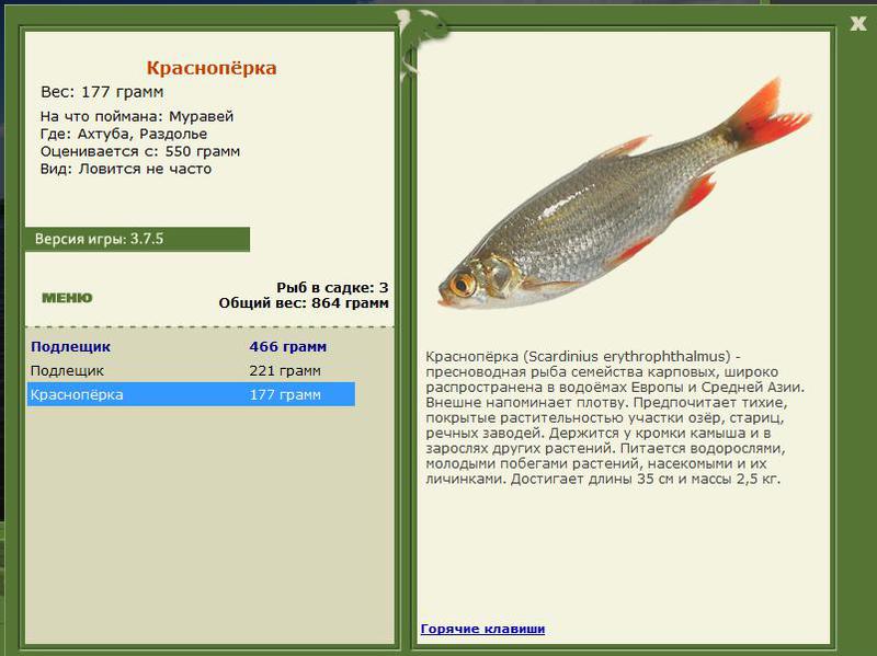 РУССКАЯ РЫБАЛКА Installsoft Edition 