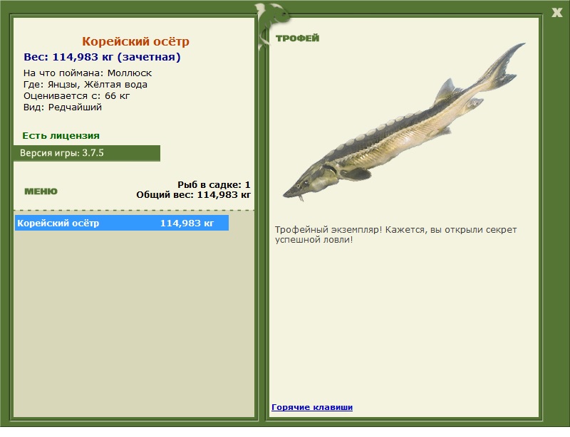 Корейский осётр 