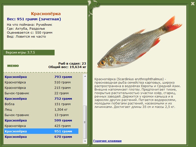 Раздолье 