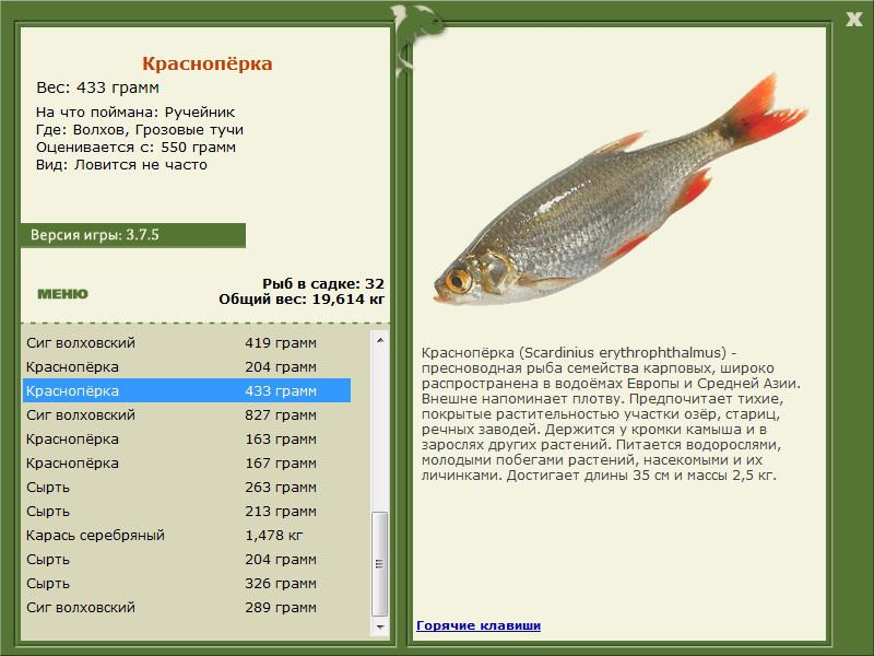 РУССКАЯ РЫБАЛКА Installsoft Edition 