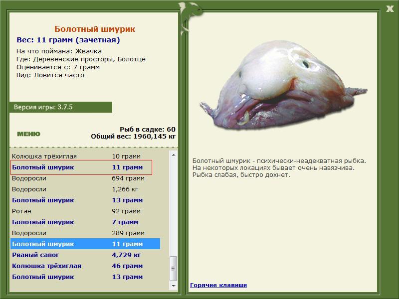 РУССКАЯ РЫБАЛКА Installsoft Edition 