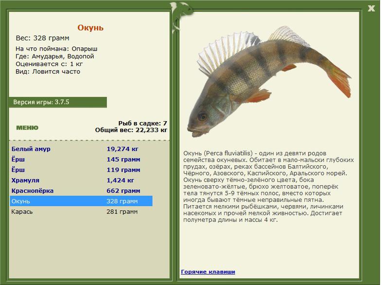 РУССКАЯ РЫБАЛКА Installsoft Edition 