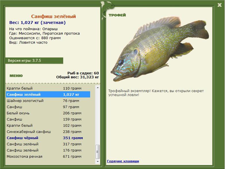Санфиш зелёный 
