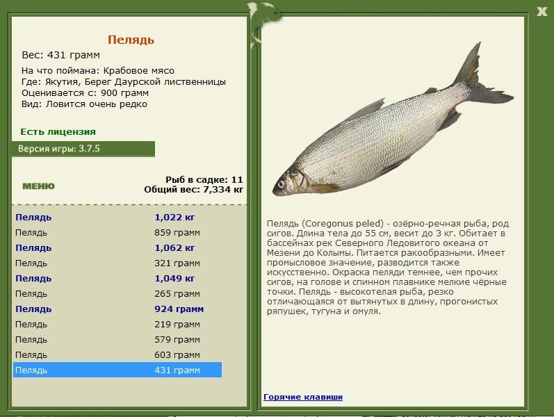РУССКАЯ РЫБАЛКА Installsoft Edition 