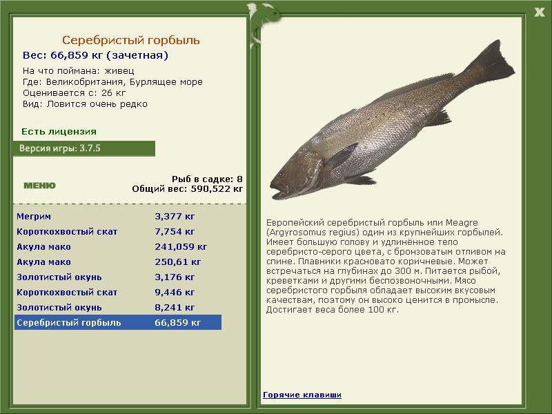 РУССКАЯ РЫБАЛКА Installsoft Edition 