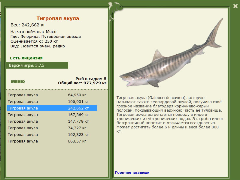 Путеводная звезда 