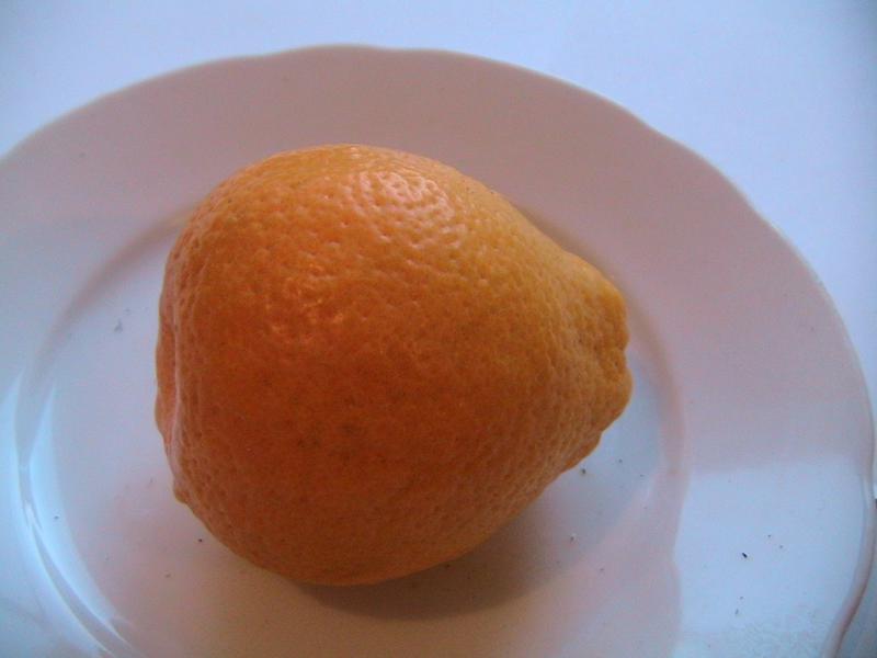 Коробейники 