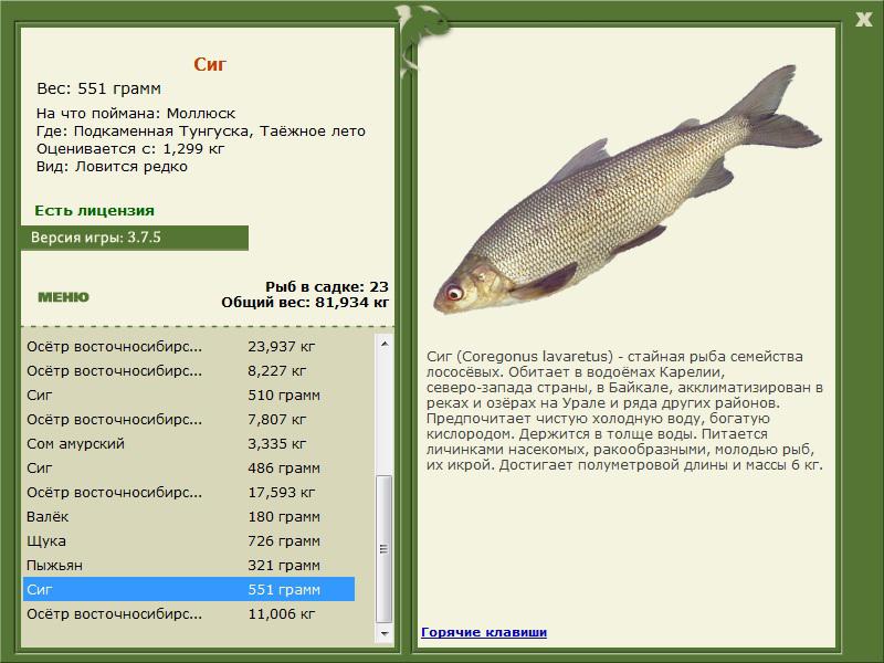 РУССКАЯ РЫБАЛКА Installsoft Edition 