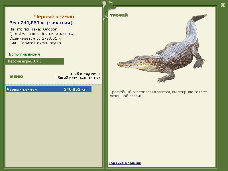 Чёрный кайман 