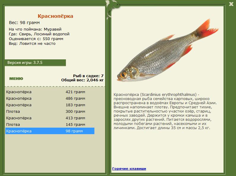 РУССКАЯ РЫБАЛКА Installsoft Edition 