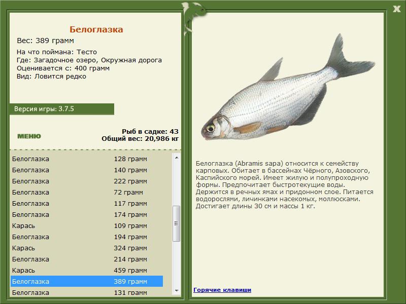 Окружная дорога 