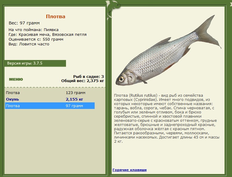 турниры • РУССКАЯ РЫБАЛКА