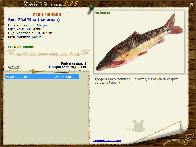 чанари • Рыбы • РУССКАЯ РЫБАЛКА