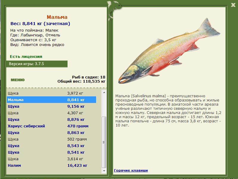 РУССКАЯ РЫБАЛКА Installsoft Edition 