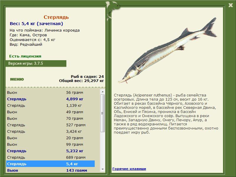 Остров 