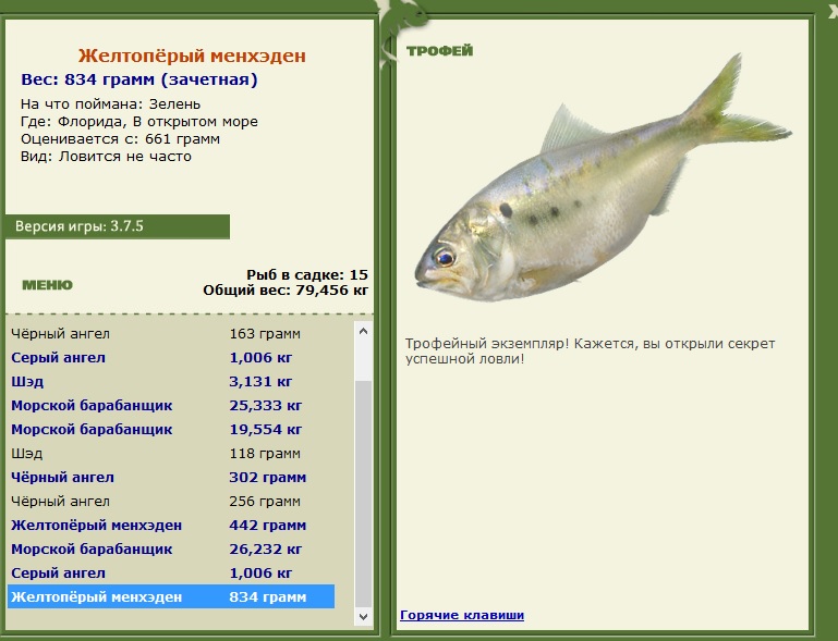 Желтопёрый менхэден 