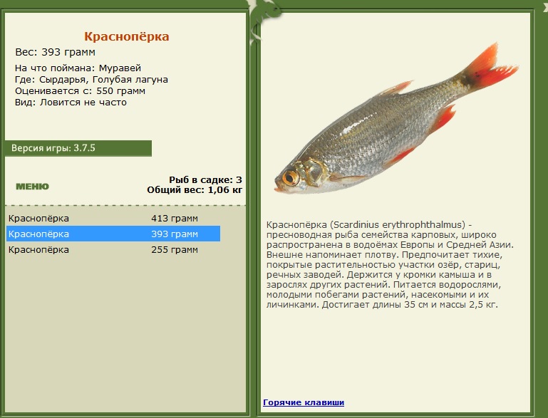 турниры • РУССКАЯ РЫБАЛКА