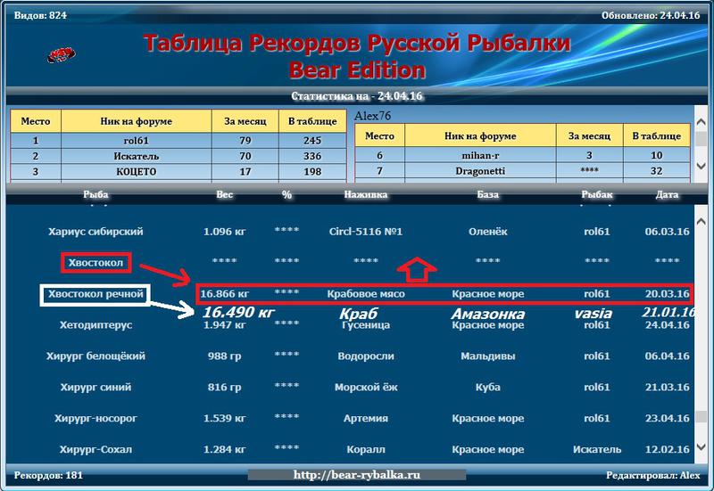 Ошибки в игре и в обновлениях 