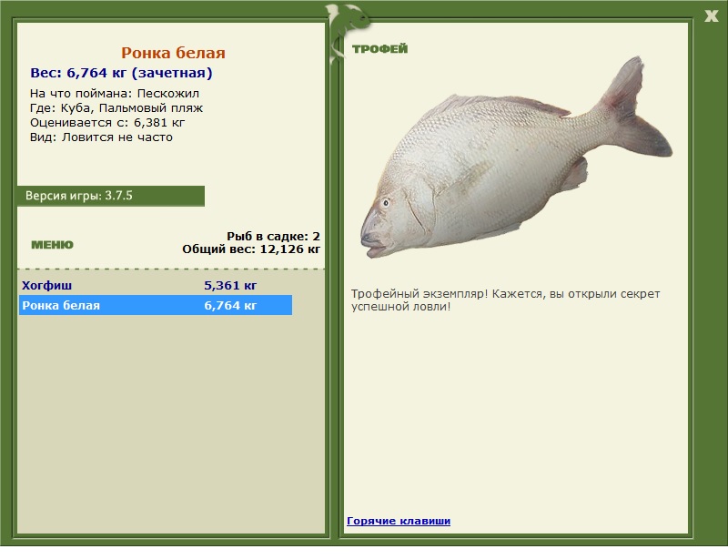 Ронка белая 