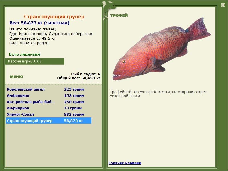 Суданское побережье 