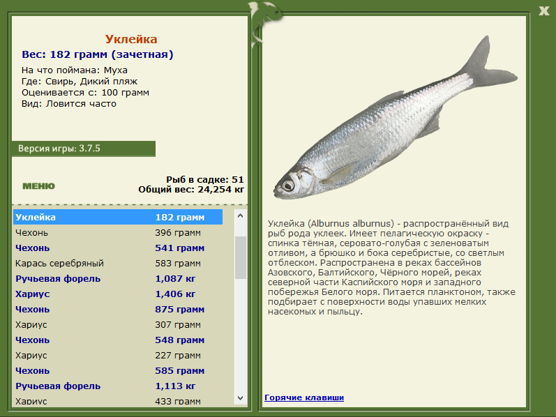 Дикий пляж 