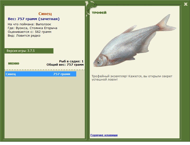 Синец 