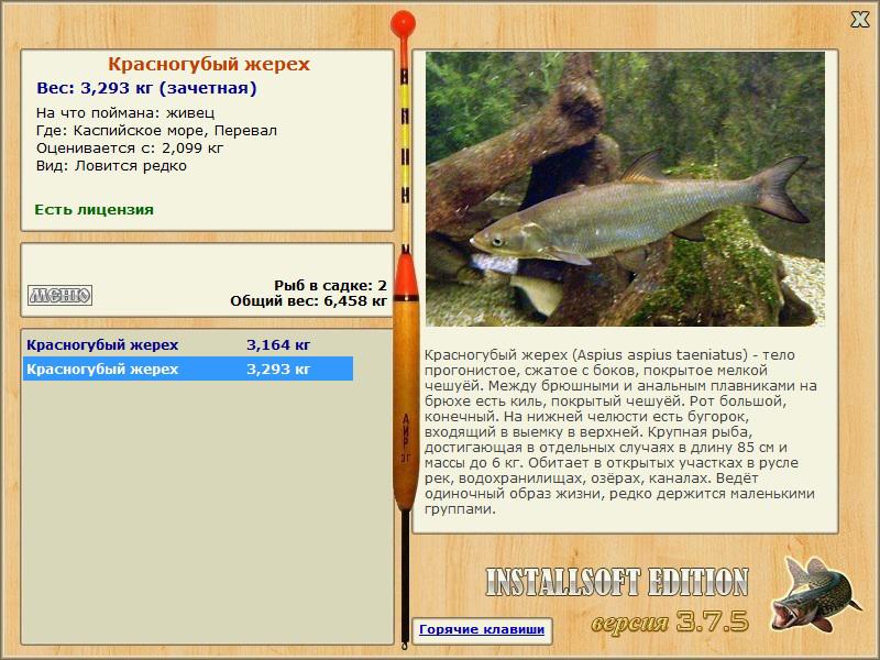 турниры • РУССКАЯ РЫБАЛКА