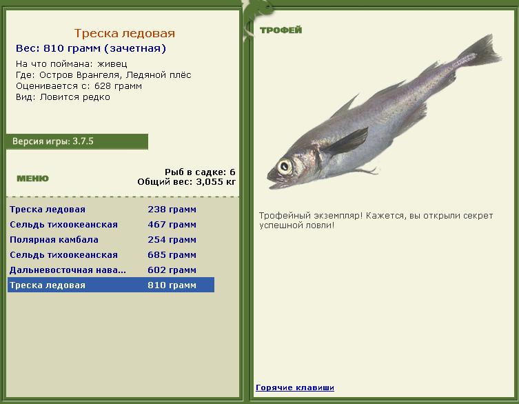 турниры • РУССКАЯ РЫБАЛКА