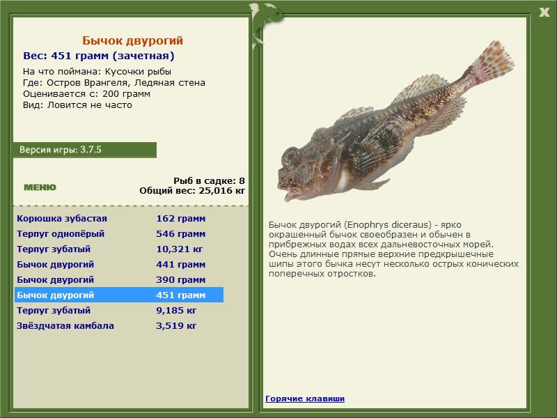Ледяная стена 