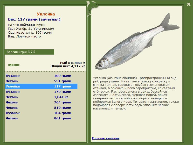 За Урюпинском 