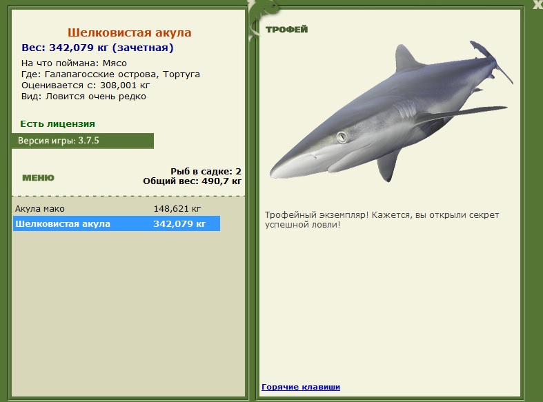 Шелковистая акула 
