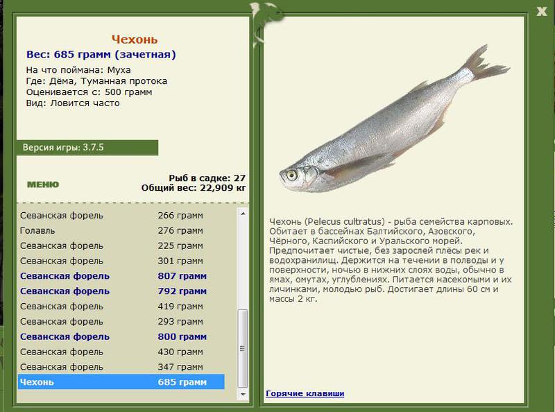 РУССКАЯ РЫБАЛКА Installsoft Edition 