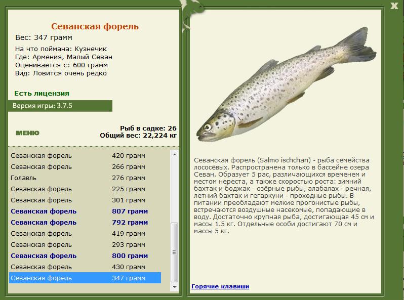 РУССКАЯ РЫБАЛКА Installsoft Edition 