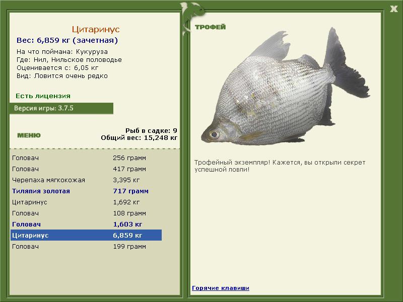 Цитаринус 